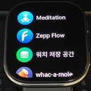 어메이즈핏 빕6 개봉기 및 간단 후기
