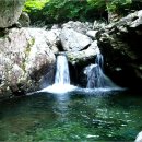 심심이 (주) 이미지