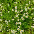 본포수변공원(주차장) 이미지