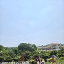 아기곰푸드 | [육아일기]세종 베어트리파크 서울근교 24개월 아기랑 가볼만한 곳 레스토랑 후기
