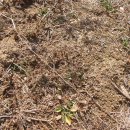 두꺼비농장 이미지