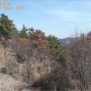 복산리 달천 이미지