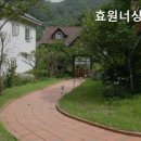 효원전문요양원 | 거동 힘드신 부모님 계시다면 처인구 추천 요양원 효원너싱홈 부모님을 위한 최적의 선택