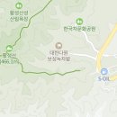 보성 대한1다원 여행정보 이미지