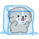 야외돼지 성서점