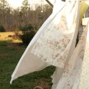 베이지 꽃 이미지