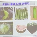 더에띠임 이미지