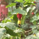 WR(서울특별시 강서구)-[마곡동로]-하-3 | 마곡 놀거리 서울식물원│서울 겨울실내 데이트 추천 │층별 안내 카페 후기│오디오 가이드 이용방법