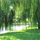📚방 하착(放下着) 일체 유심조(一切唯心造)📚 이미지