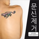 쓱쓱싹싹