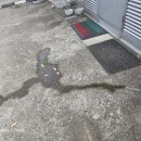 한솔산업 이미지