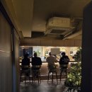 오늘도 한우 합정점 | 서울 합정 우마카세 추천 MUU한우다이닝 합정 내돈내산 후기 (M course)