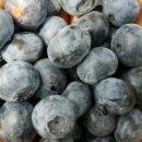 영후농장 이미지