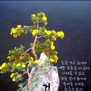 국립소록도병원 한센병박물관(휴관) 이미지