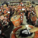 삼바 파고지 이미지