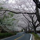 안민고개길 이미지