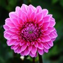 네오젠 골프컨디셔닝 스튜디오 이미지