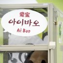 판다