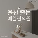 에일린에이 이미지