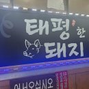 태평한돼지 이미지