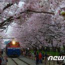 관광열차 이미지