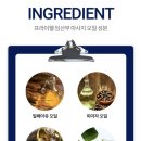오일세