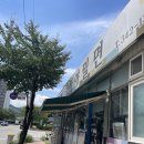 새가야밀면 | 김해 진영읍 가야밀면 재방문 후기