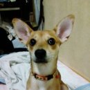 양강중학교 이미지