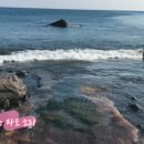 나우목장 이미지