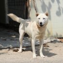 별천지모텔 이미지