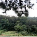 생곡동 가달고분군 이미지