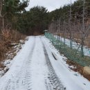 부경해물찜 이미지