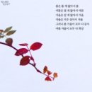 여름겨울