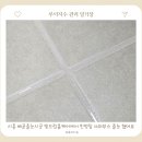 빛드림 | 시흥 배곧줄눈시공 빛드림홈케어에서 친정집 샤워부스 줄눈 했어요