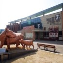 늘푸름홍천한우프라자 이미지