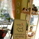 퍼피클럽 뚱 이미지