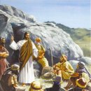 마르띠노 이미지