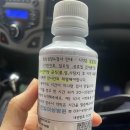 [임신중기] 22주 정밀초음파 후기