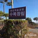 고향상조후불제 | 하늘공원 수목장 가격, 천혜의 배산임수 명당에 고인을 정중히 모시는 방법 (feat. 다온상조)