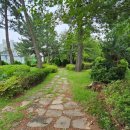 대방솔밭공원 이미지