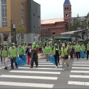 백로서식지 이미지