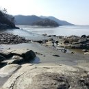 바다나루 이미지