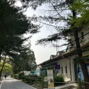 양재시민의숲 공원 테니스장 이미지
