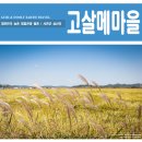 고살메갈꽃체험마을 이미지