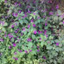 어린이회관등산로 이미지