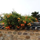 수로왕릉 이미지