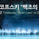 발레의 역사, 19세기 초에 유럽을 휩쓴 낭만주의 정신은 발레에도 흘러들어와 1830년대부터 로맨틱 발레가 개화하는 시기로 접어들었다. 이미지