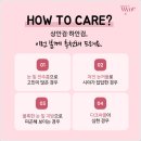 와인성형외과의원 이미지