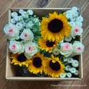 희민농장 | 민하 꽃