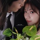 헤이쥬드 이미지